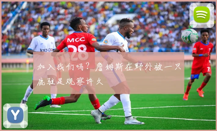 加入我们吗？詹姆斯在野外被一只鹿驻足观察许久